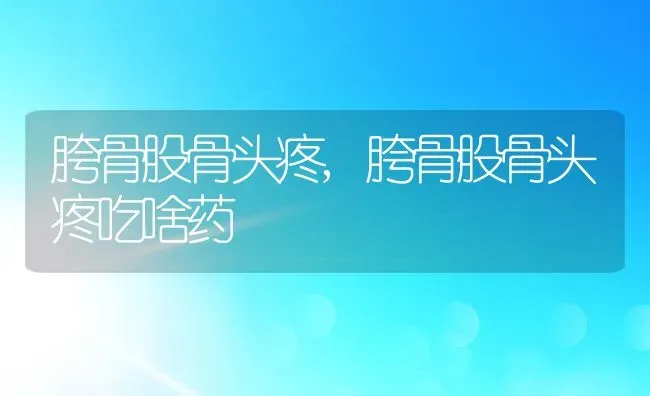 胯骨股骨头疼,胯骨股骨头疼吃啥药 | 养殖资料