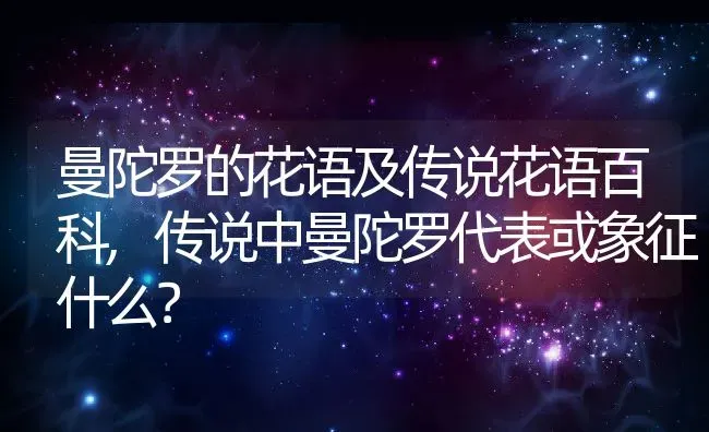 曼陀罗的花语及传说花语百科,传说中曼陀罗代表或象征什么？ | 养殖科普