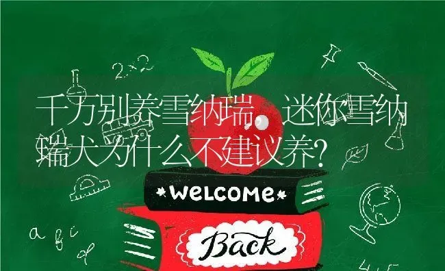 千万别养雪纳瑞,迷你雪纳瑞犬为什么不建议养？ | 养殖学堂