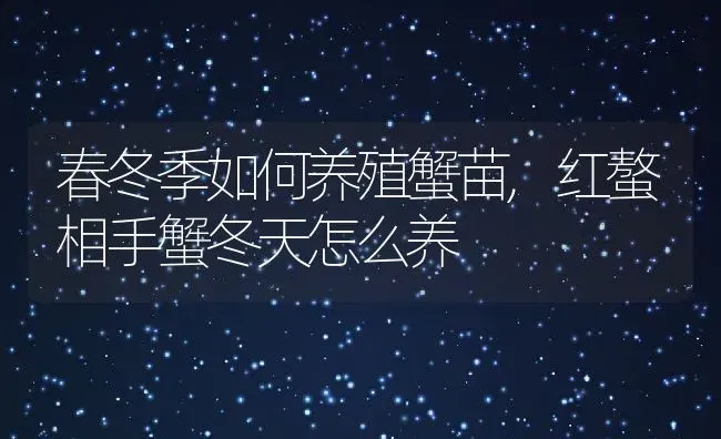 春冬季如何养殖蟹苗,红螯相手蟹冬天怎么养 | 养殖学堂