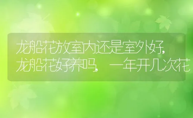 龙船花放室内还是室外好,龙船花好养吗,一年开几次花 | 养殖学堂