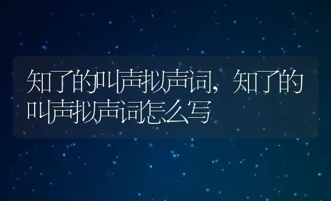 十二指肠上部,十二指肠上部又称为球部吗 | 养殖资料