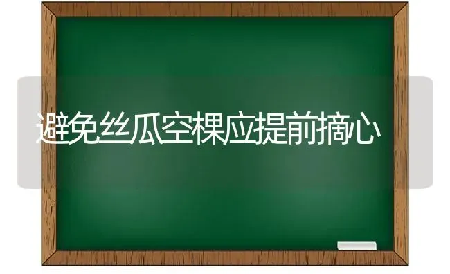 避免丝瓜空棵应提前摘心 | 养殖技术大全