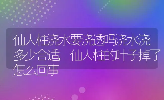仙人柱浇水要浇透吗浇水浇多少合适,仙人柱的叶子掉了怎么回事 | 养殖学堂