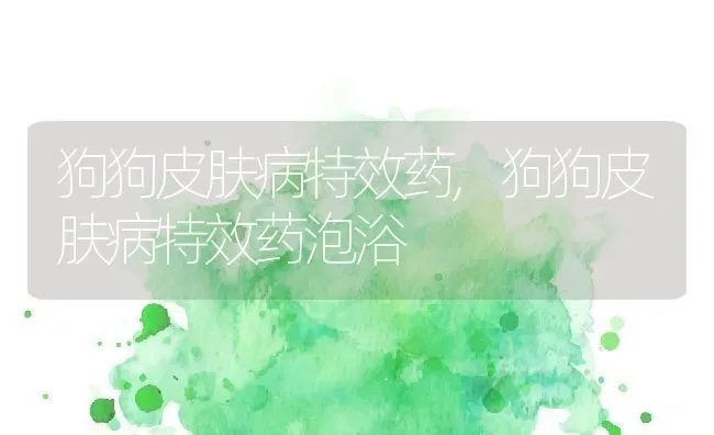 狗狗皮肤病特效药,狗狗皮肤病特效药泡浴 | 养殖资料
