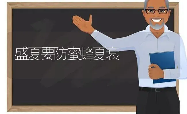 盛夏要防蜜蜂夏衰 | 养殖技术大全