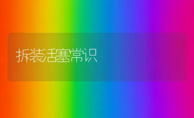 拆装活塞常识 | 养殖知识