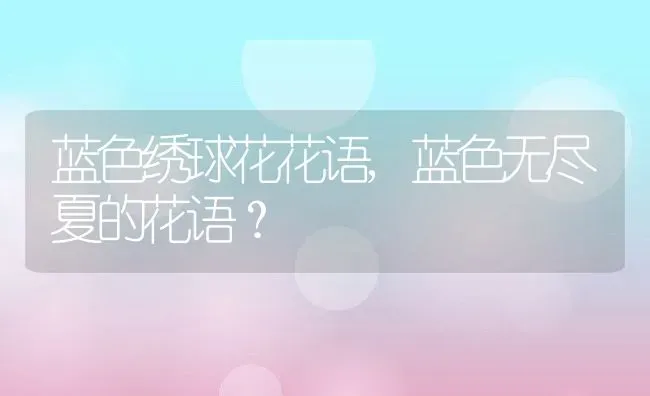 蓝色绣球花花语,蓝色无尽夏的花语？ | 养殖科普