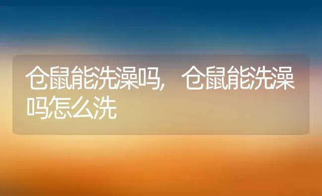 仓鼠能洗澡吗,仓鼠能洗澡吗怎么洗 | 养殖科普