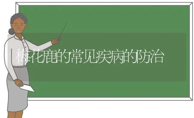 梅花鹿的常见疾病的防治 | 养殖技术大全