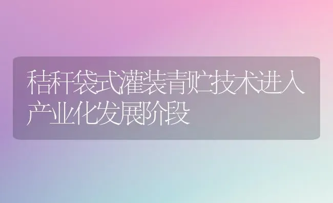 秸秆袋式灌装青贮技术进入产业化发展阶段 | 养殖技术大全