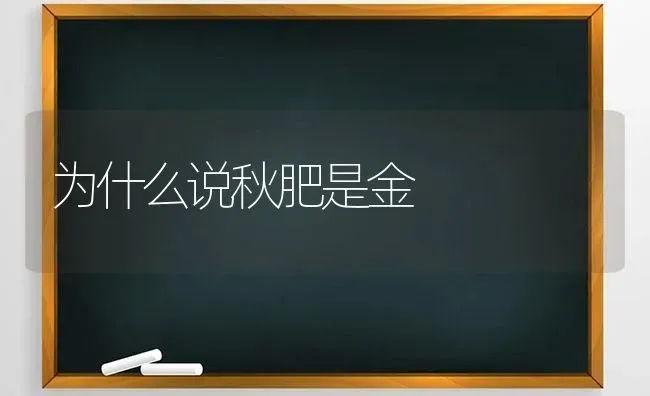 为什么说秋肥是金 | 养殖技术大全