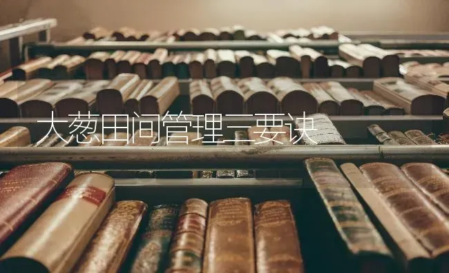大葱田间管理三要诀 | 养殖知识