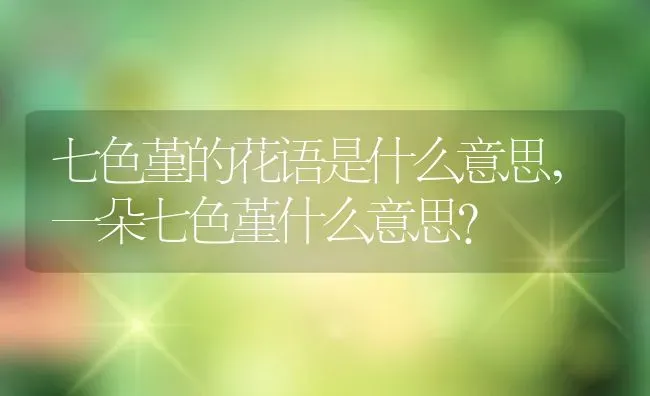 七色堇的花语是什么意思,一朵七色堇什么意思？ | 养殖科普