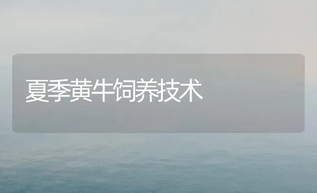 夏季黄牛饲养技术 | 养殖技术大全