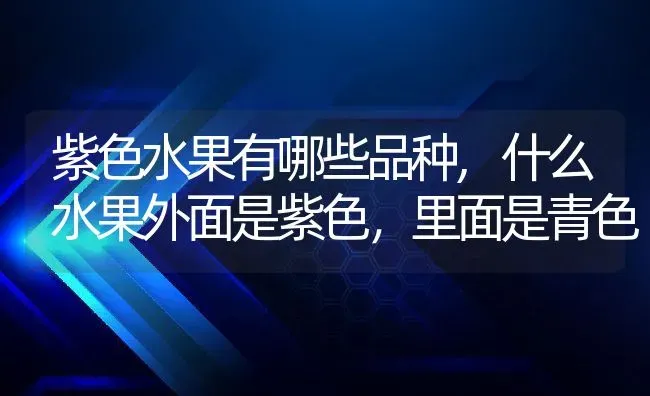 满天星所有颜色的花语和寓意,满天星所有颜色的花语和寓意 | 养殖科普