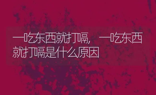 一吃东西就打嗝,一吃东西就打嗝是什么原因 | 养殖资料