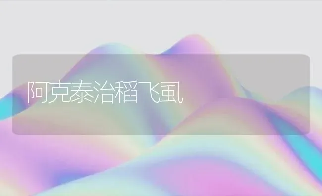 阿克泰治稻飞虱 | 养殖知识