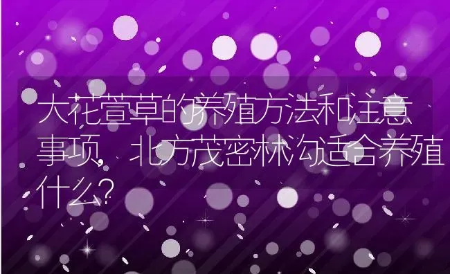 石菖蒲的养殖方法及注意事项,菖蒲的养殖方法及注意事项？ | 养殖科普