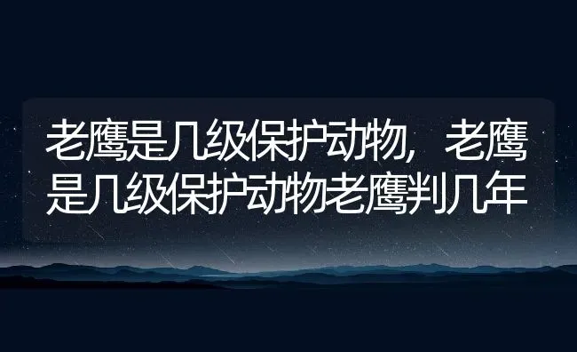 老鹰是几级保护动物,老鹰是几级保护动物老鹰判几年 | 养殖资料