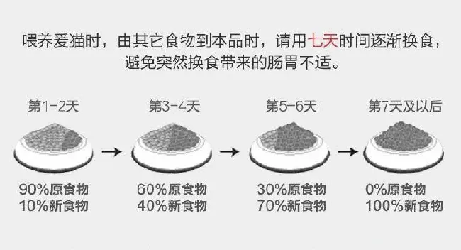 猫咪吐黄水能自己好吗,猫咪吐黄水？