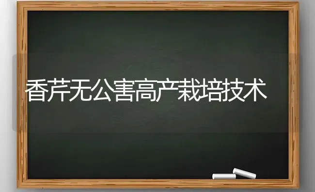 香芹无公害高产栽培技术 | 养殖知识