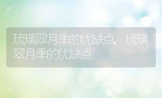 琉璃翠月季的优缺点,琉璃翠月季的优缺点 | 养殖科普