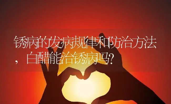 锈病的发病规律和防治方法,白醋能治锈病吗？ | 养殖科普
