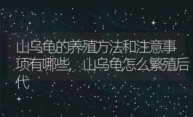 山乌龟的养殖方法和注意事项有哪些,山乌龟怎么繁殖后代 | 养殖学堂