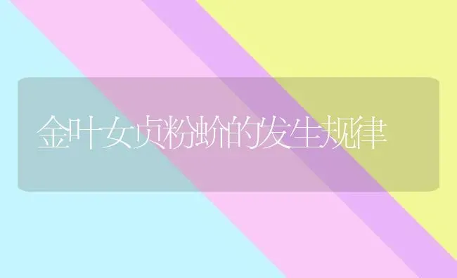金叶女贞粉蚧的发生规律 | 养殖知识