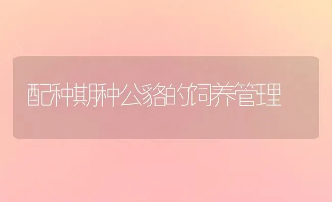 配种期种公貉的饲养管理 | 养殖技术大全