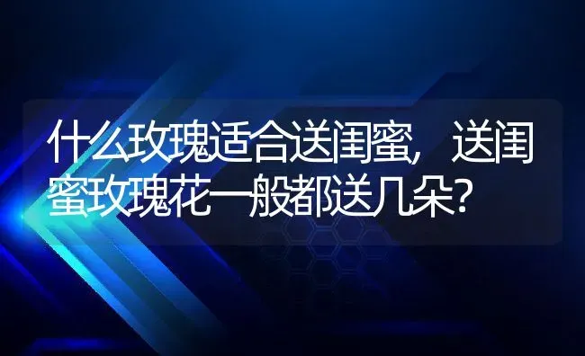 什么玫瑰适合送闺蜜,送闺蜜玫瑰花一般都送几朵？ | 养殖学堂