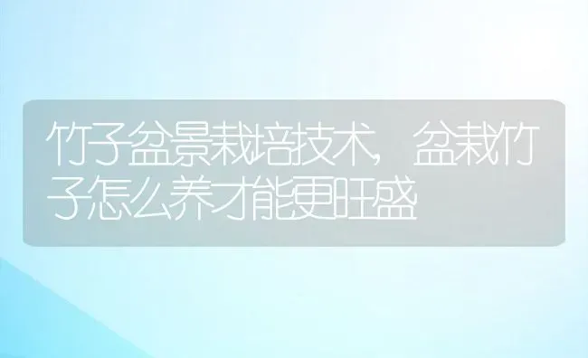 竹子盆景栽培技术,盆栽竹子怎么养才能更旺盛 | 养殖学堂