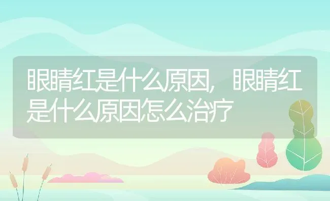 眼睛红是什么原因,眼睛红是什么原因怎么治疗 | 养殖科普