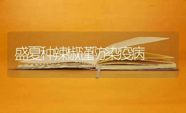 盛夏种辣椒谨防染疫病 | 养殖技术大全