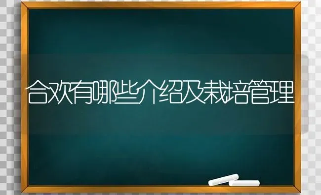 合欢有哪些介绍及栽培管理 | 养殖技术大全