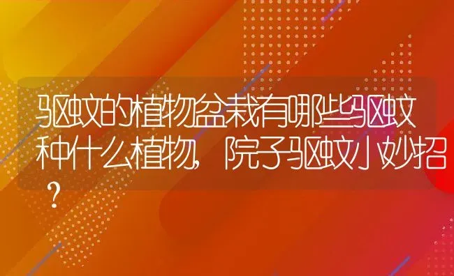 驱蚊的植物盆栽有哪些驱蚊种什么植物,院子驱蚊小妙招？ | 养殖科普