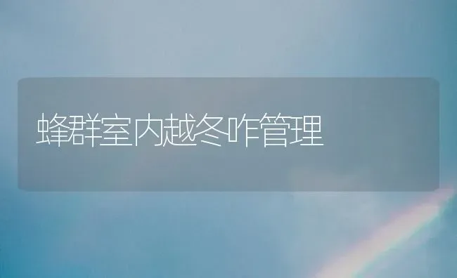 蜂群室内越冬咋管理 | 养殖技术大全