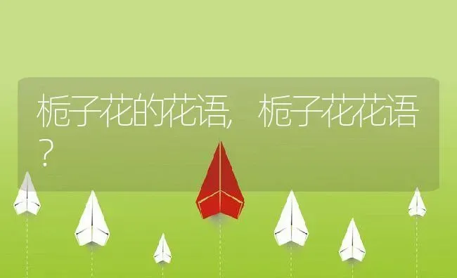 栀子花的花语,栀子花花语？ | 养殖科普