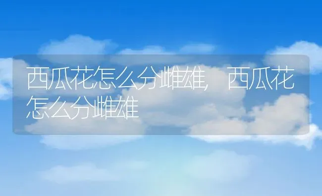 西瓜花怎么分雌雄,西瓜花怎么分雌雄 | 养殖科普