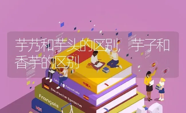 芋艿和芋头的区别,芋子和香芋的区别 | 养殖学堂