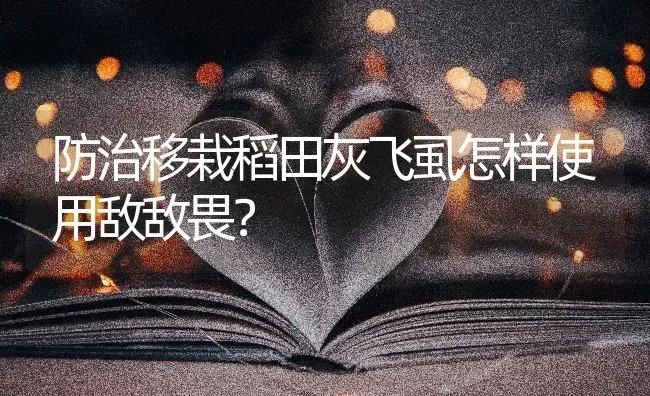 防治移栽稻田灰飞虱怎样使用敌敌畏? | 养殖技术大全