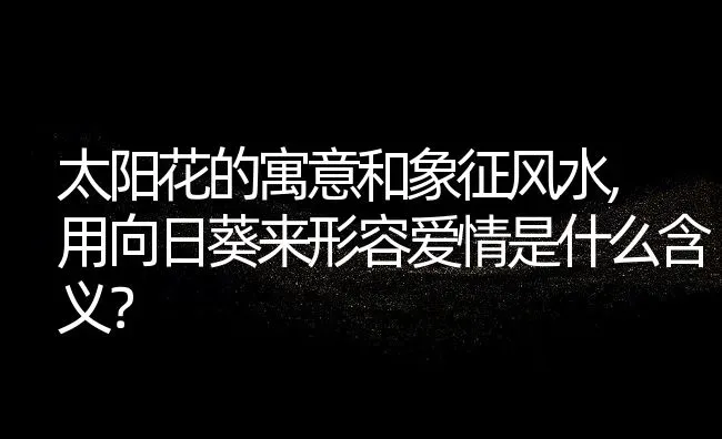 太阳花的寓意和象征风水,用向日葵来形容爱情是什么含义？ | 养殖科普