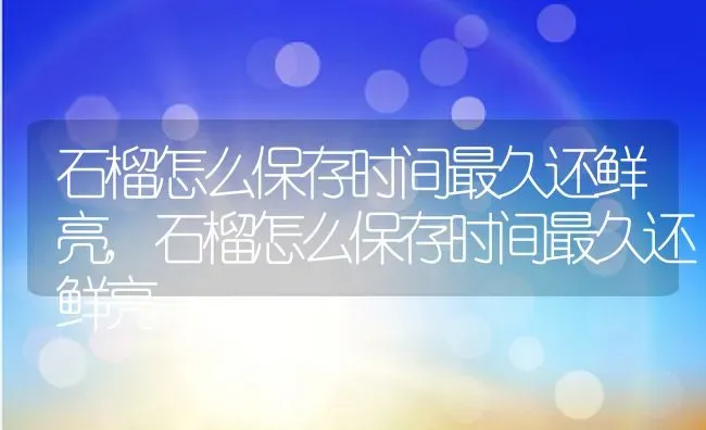 石榴怎么保存时间最久还鲜亮,石榴怎么保存时间最久还鲜亮 | 养殖科普