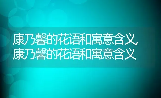 康乃馨的花语和寓意含义,康乃馨的花语和寓意含义 | 养殖科普