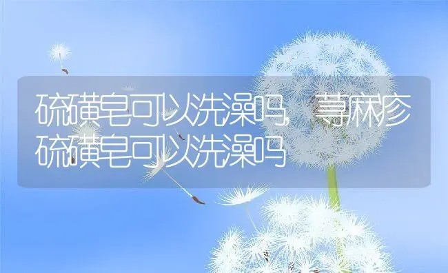 硫磺皂可以洗澡吗,荨麻疹硫磺皂可以洗澡吗 | 养殖资料