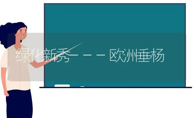 绿化新秀---欧洲垂杨 | 养殖技术大全