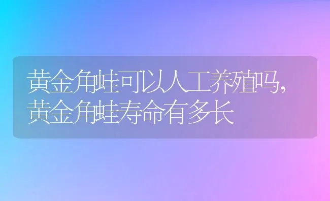 黄金角蛙可以人工养殖吗,黄金角蛙寿命有多长 | 养殖学堂