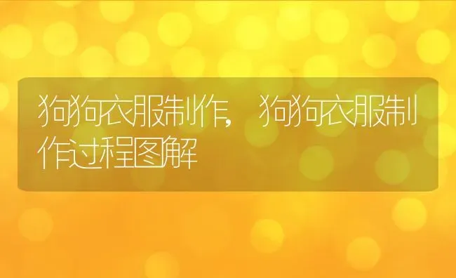 狗狗衣服制作,狗狗衣服制作过程图解 | 养殖科普