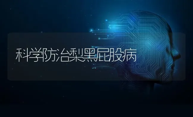 科学防治梨黑屁股病 | 养殖技术大全